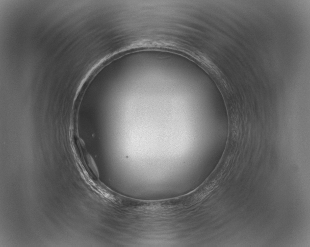 X0000055210896200508301319.png