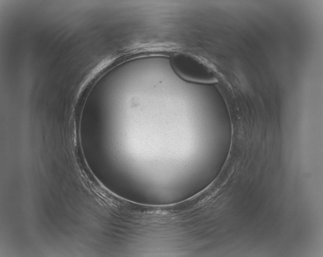 X0000055211317200508301311.png