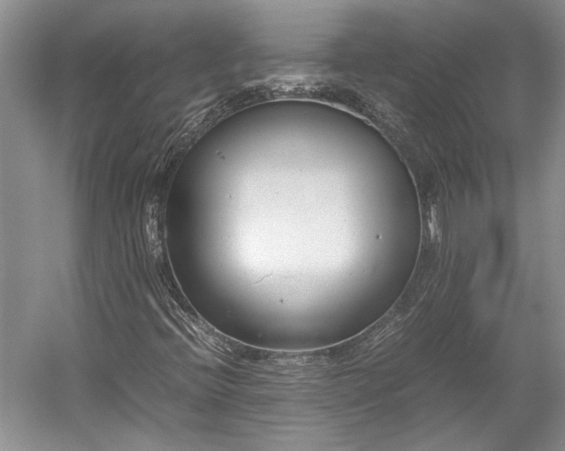 X0000055061396200508161633.png