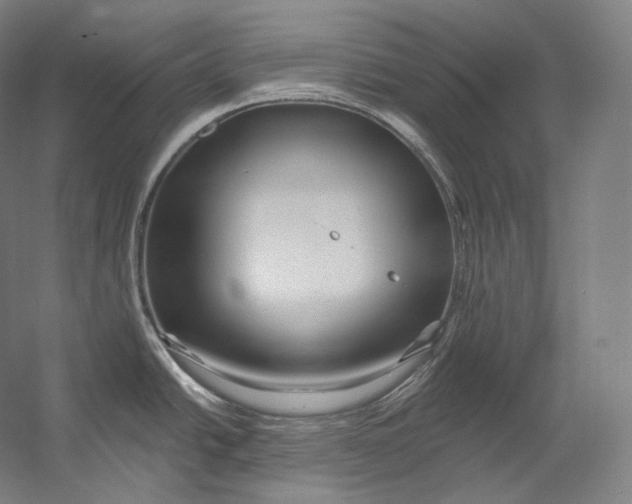 X0000055211438200508301310.png