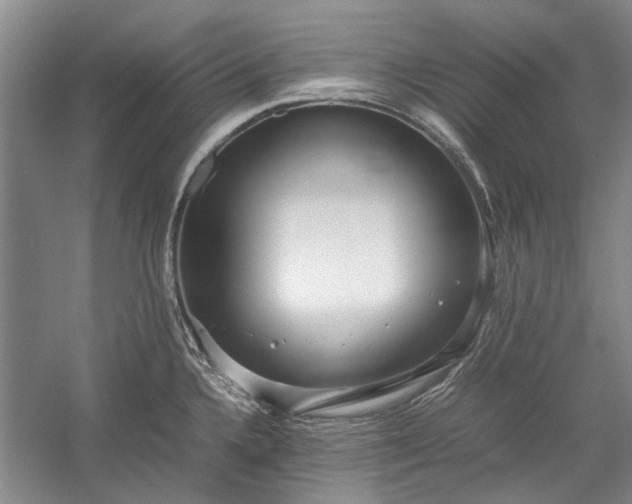 X0000055061336200508161635.png