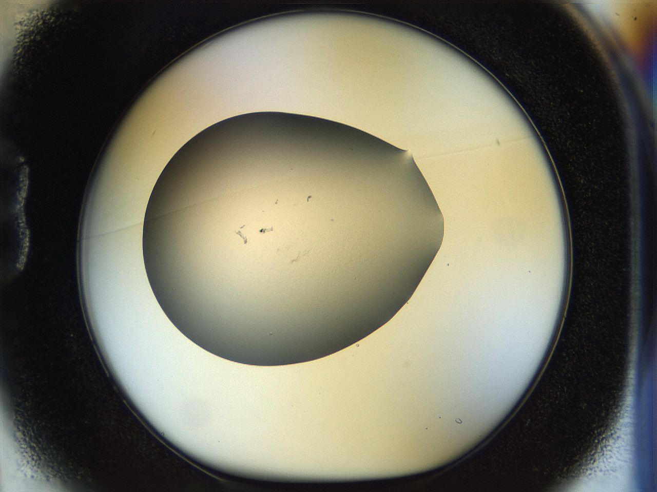 056o_B1_ImagerDefaults_1.jpg