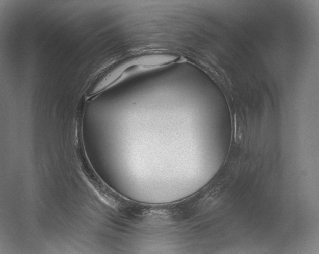 X0000055210157200508301331.png