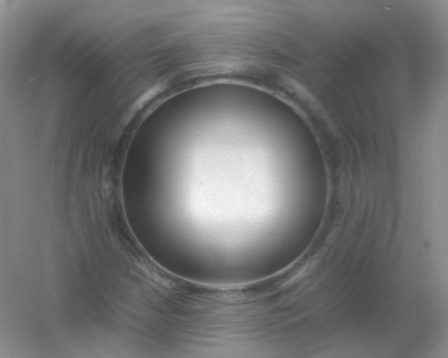 X0000054331210200508111910.png