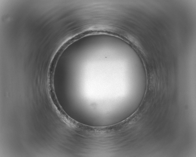 X0000054330976200508111914.png
