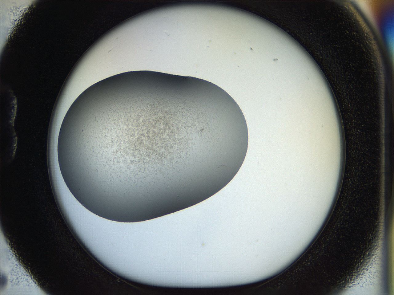 056o_B5_ImagerDefaults_2.jpg