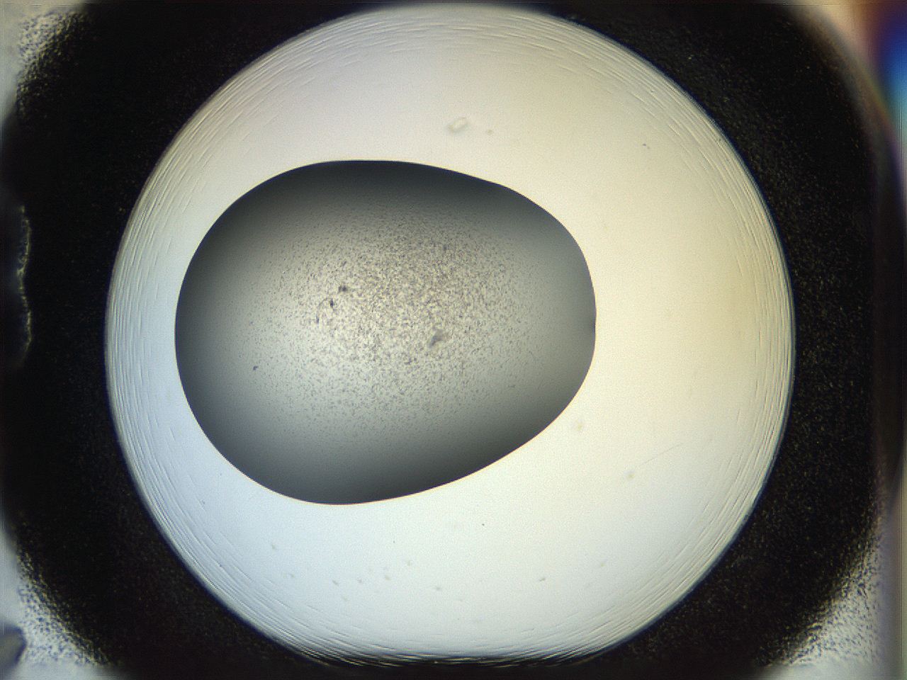 056o_B7_ImagerDefaults_2.jpg