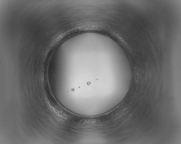 X0000055210631200508301322.png