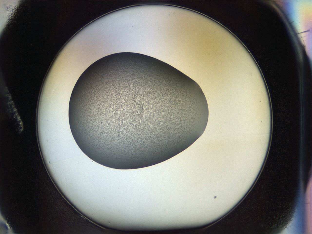 056o_A2_ImagerDefaults_3.jpg