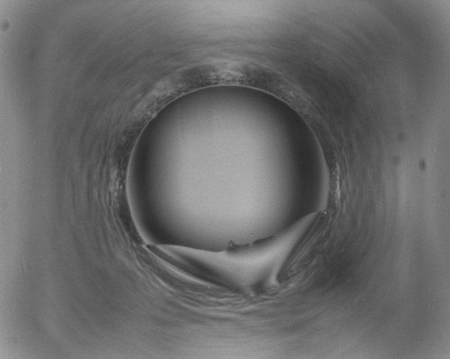 X0000054650223200508091650.png