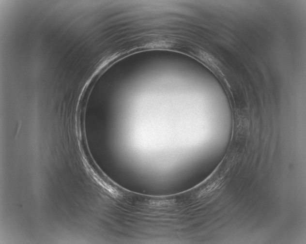 X0000055060843200508161643.png