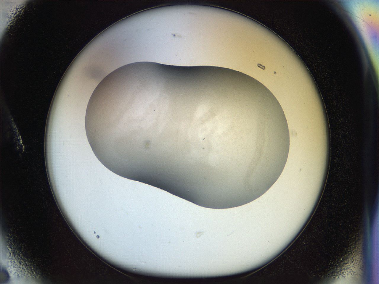 056o_A6_ImagerDefaults_2.jpg