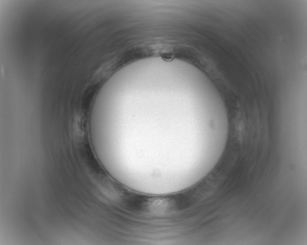 X0000054330218200508111927.png