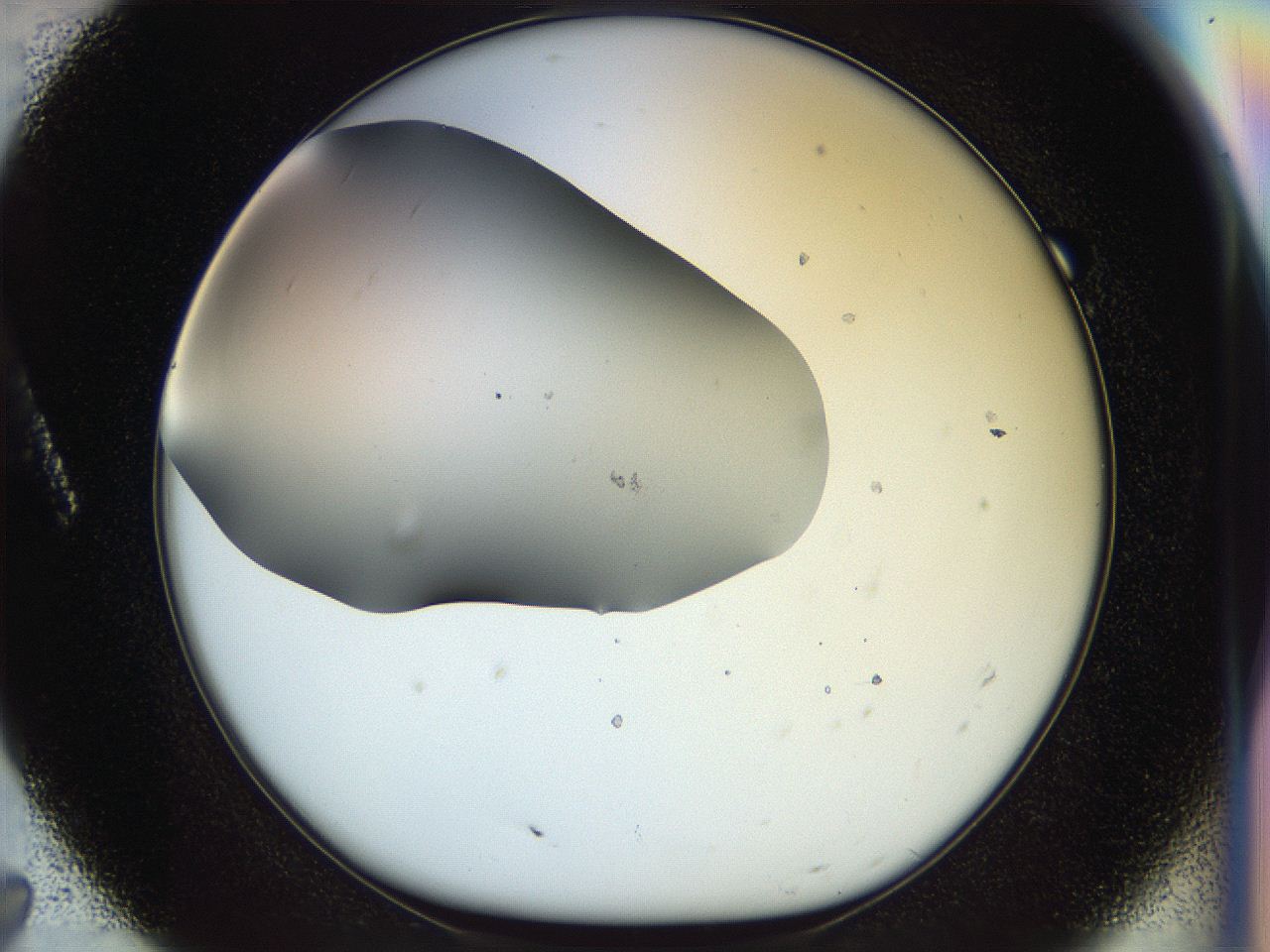 056o_A7_ImagerDefaults_0.jpg