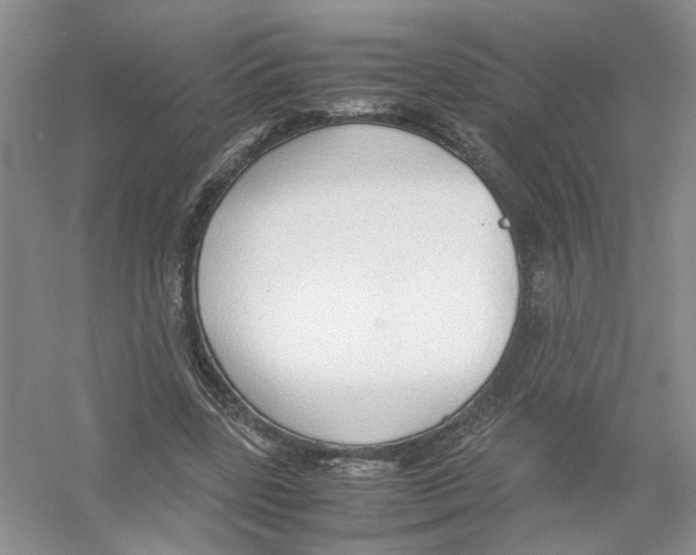 X0000054270539200508261918.png