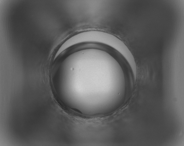 X0000054930004200508291644.png