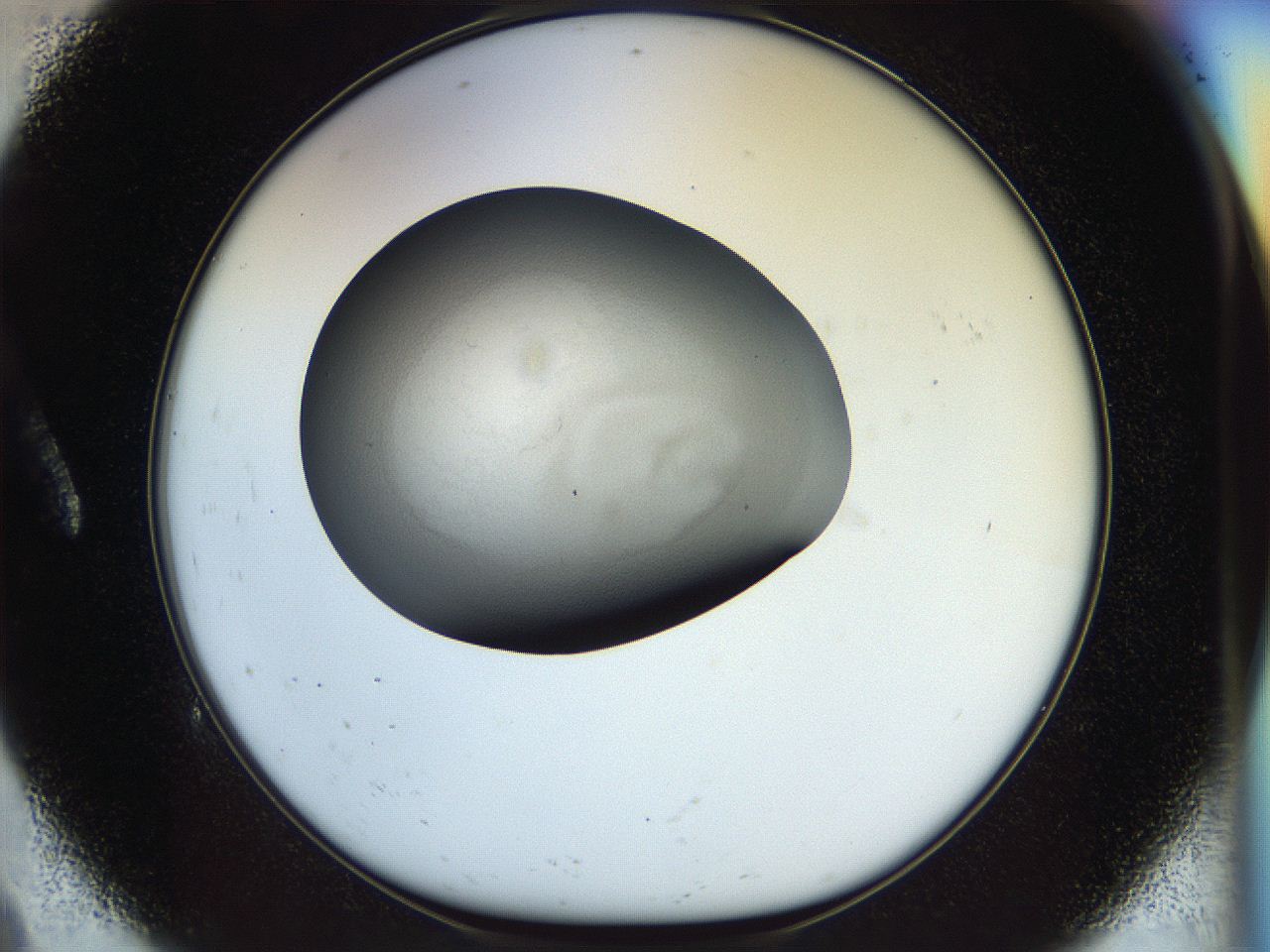 056o_A9_ImagerDefaults_2.jpg