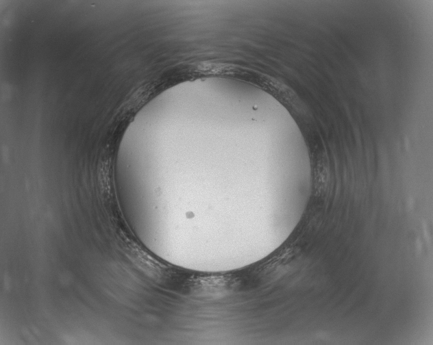 X0000055210473200508301326.png
