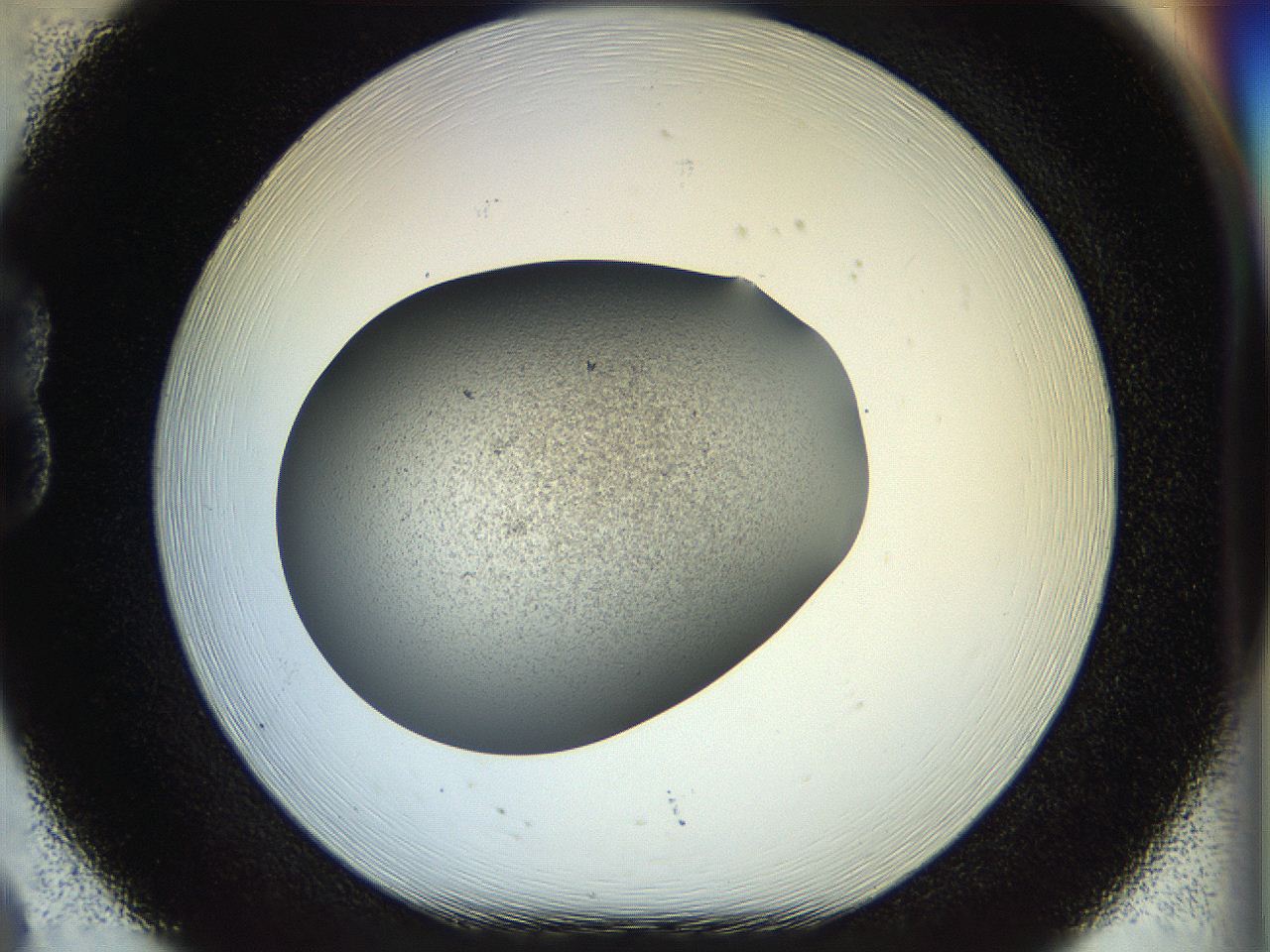 056o_B8_ImagerDefaults_2.jpg