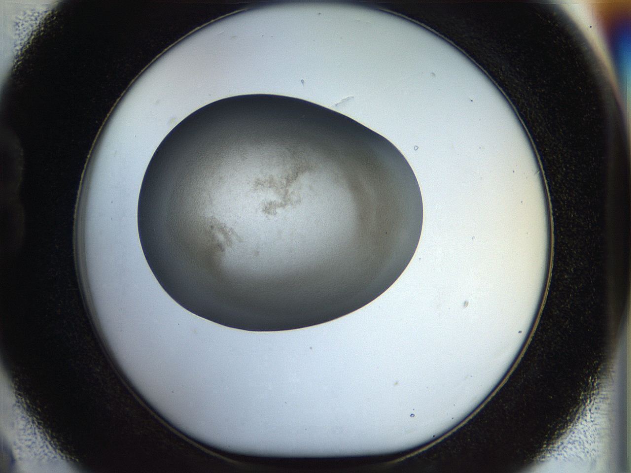 056o_B9_ImagerDefaults_3.jpg