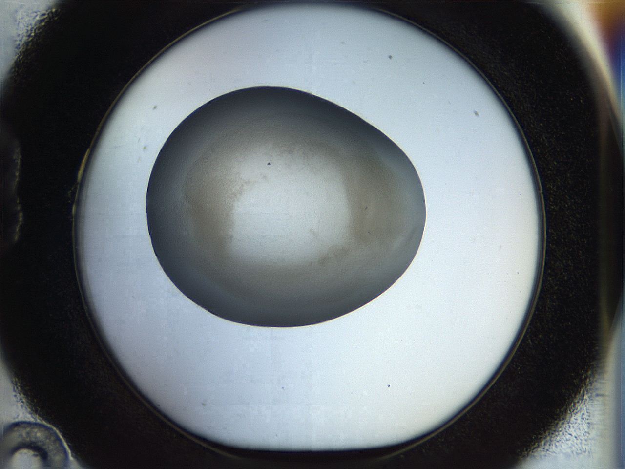 056o_B10_ImagerDefaults_3.jpg