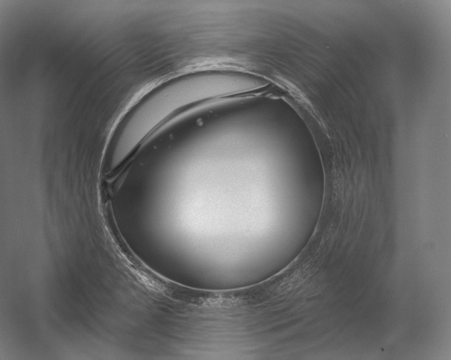 X0000055211277200508301312.png