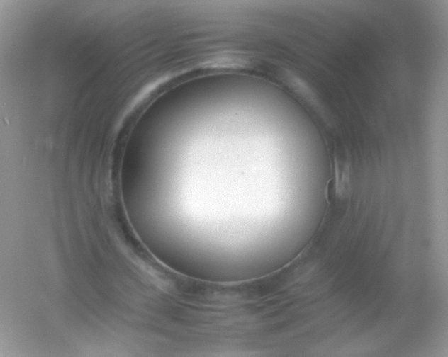 X0000054330531200508111921.png