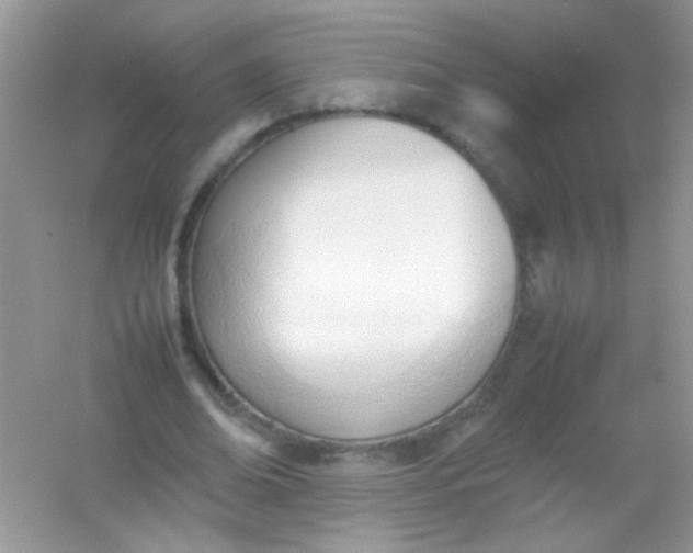 X0000054330678200508111920.png