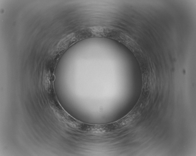 X0000054650702200508091642.png