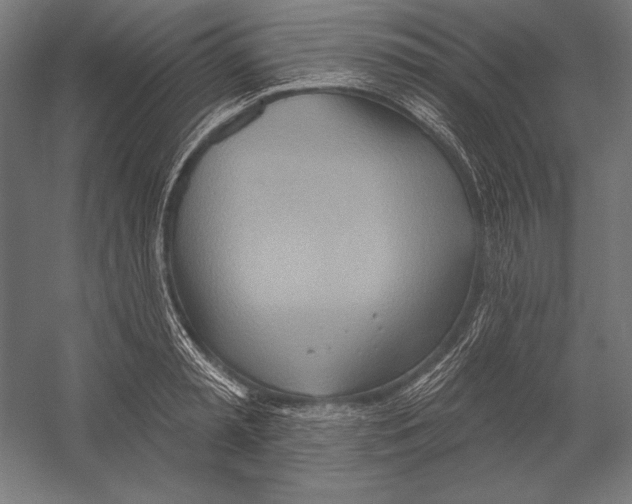 X0000055250797200509071614.png