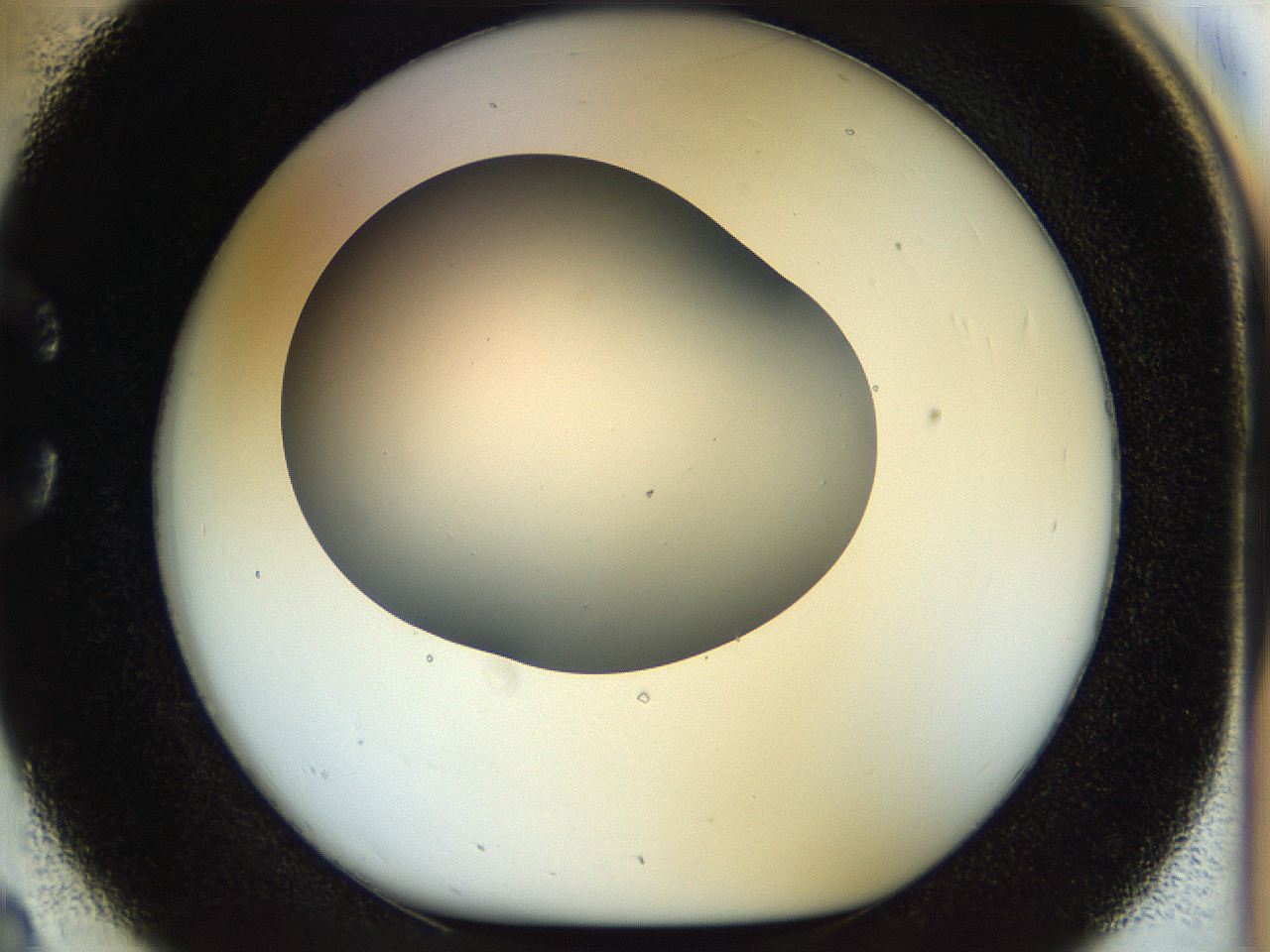 056o_C2_ImagerDefaults_0.jpg