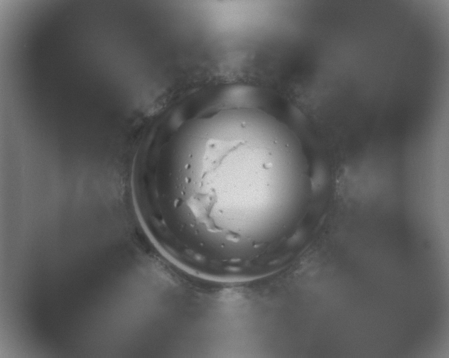 X0000054110566200508022102.png