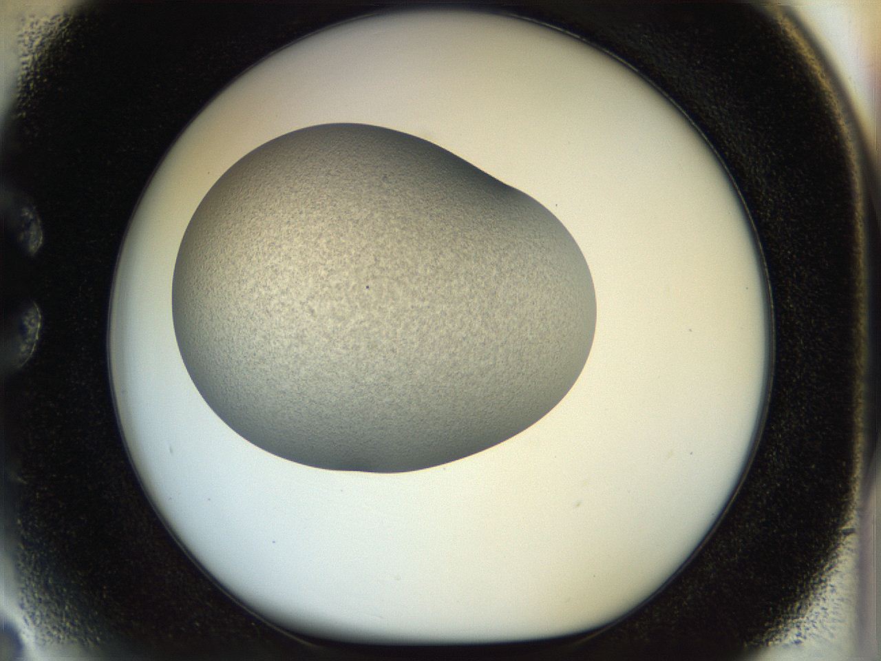056o_C3_ImagerDefaults_2.jpg