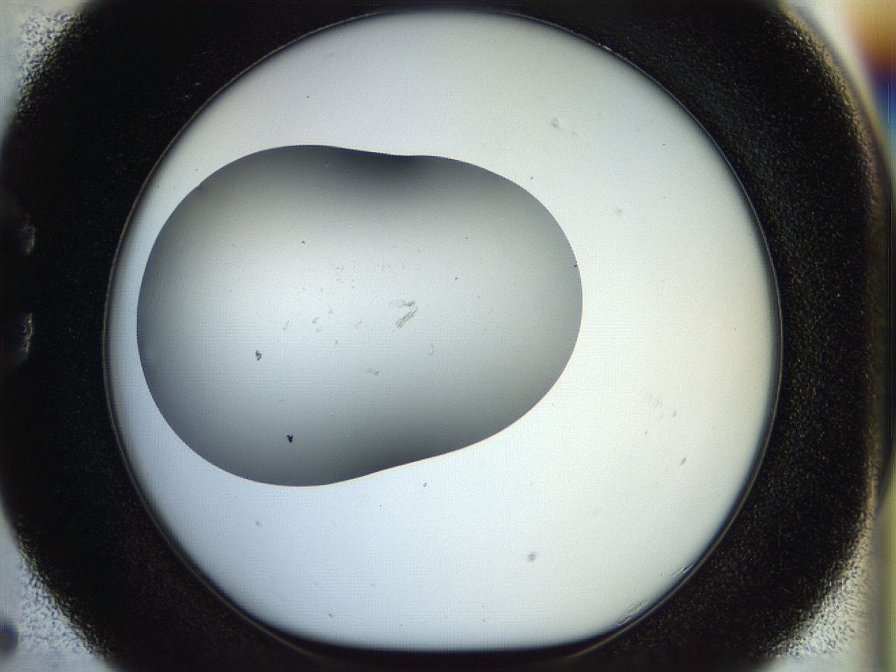 056o_C5_ImagerDefaults_1.jpg