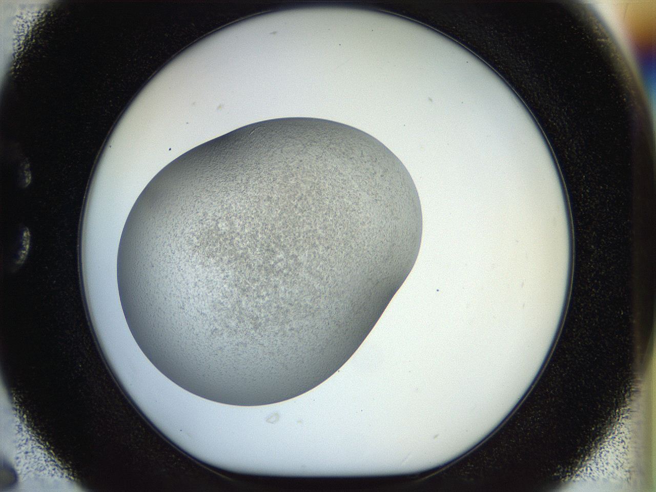 056o_C6_ImagerDefaults_2.jpg