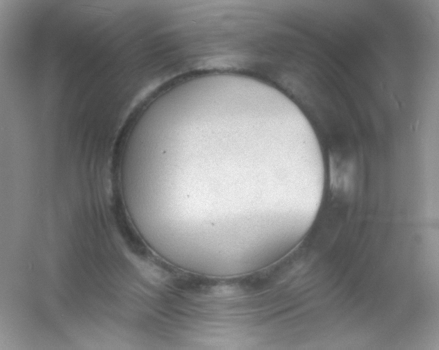 X0000054330204200508111928.png