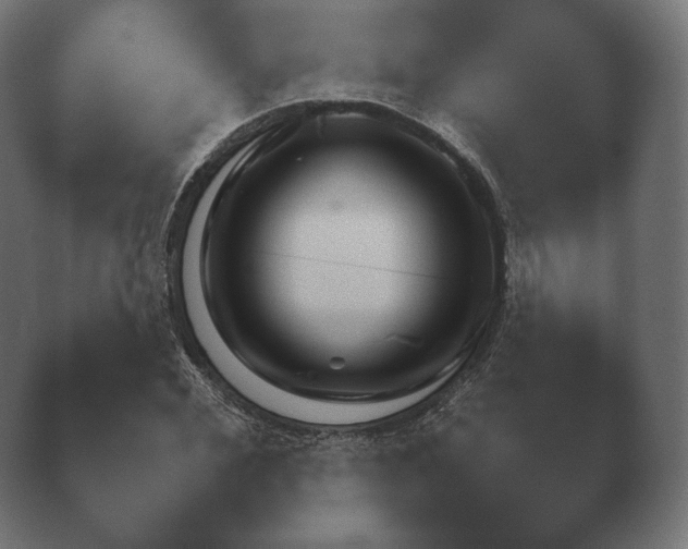 X0000040560972200411021424.png