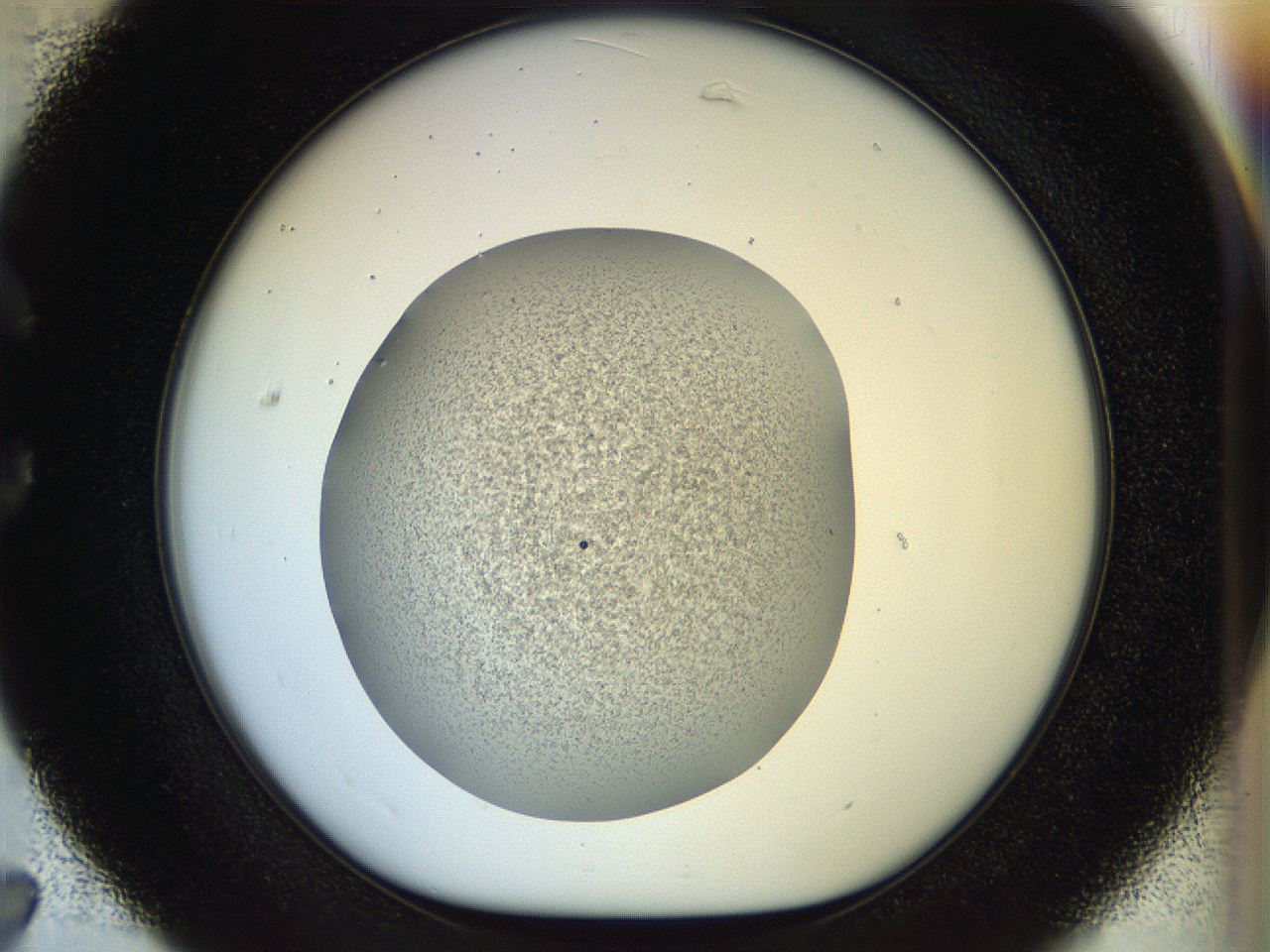 056o_C7_ImagerDefaults_2.jpg