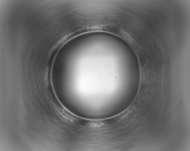 X0000055060346200508161651.png