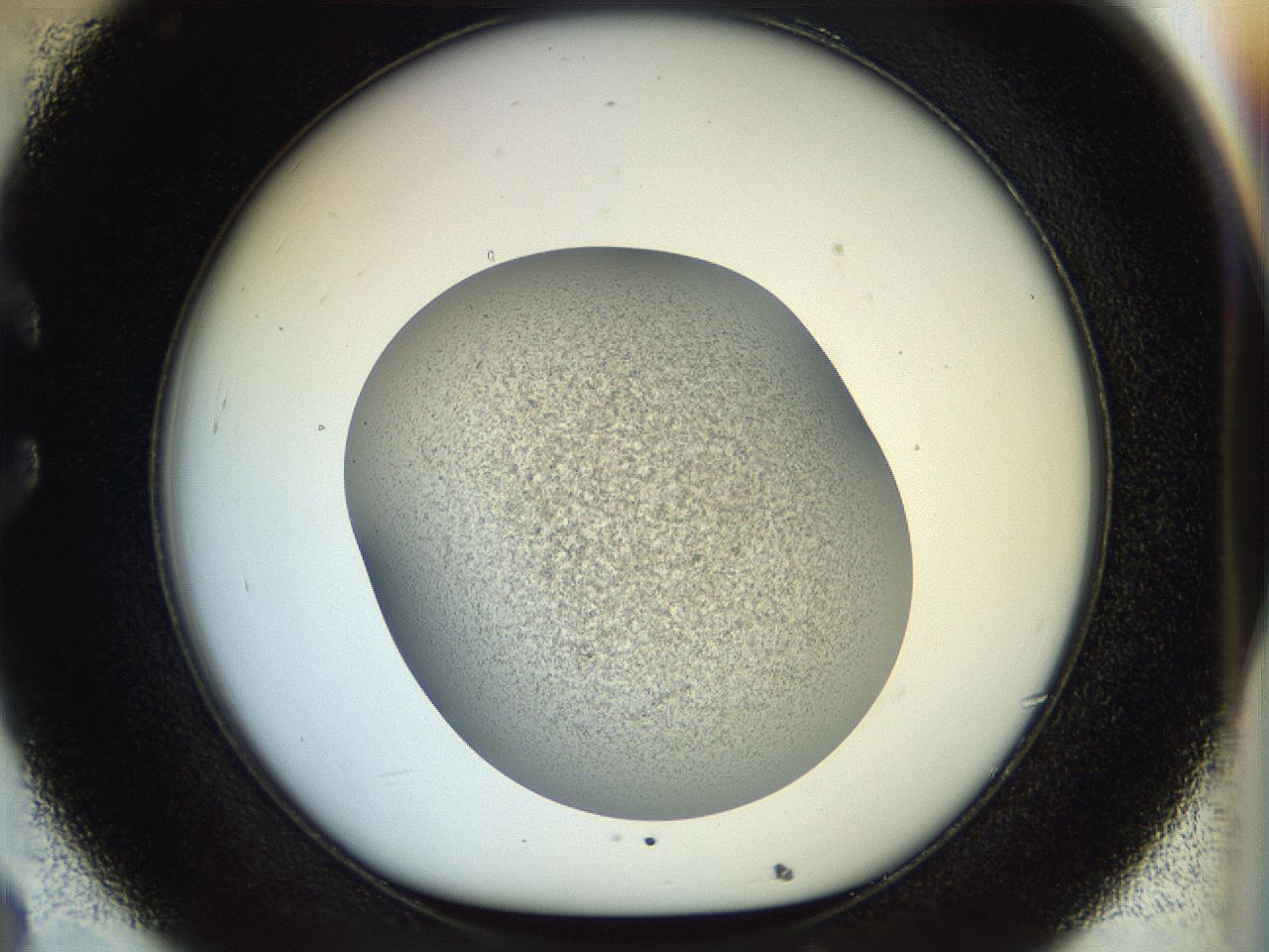 056o_C8_ImagerDefaults_2.jpg