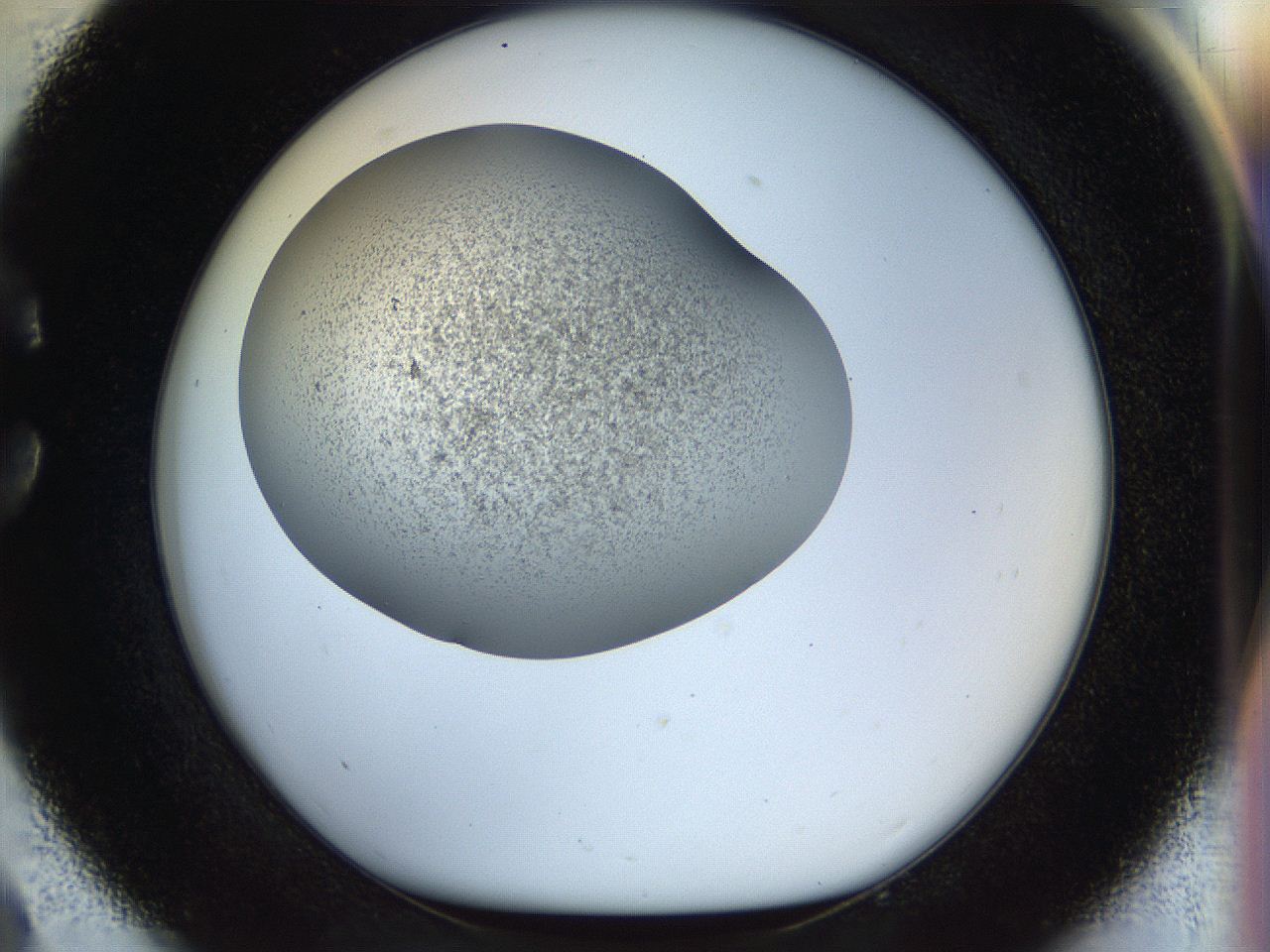 056o_C9_ImagerDefaults_3.jpg