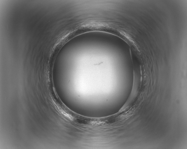 X0000055060399200508161651.png
