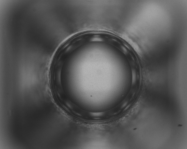X0000048531004200503171506.png