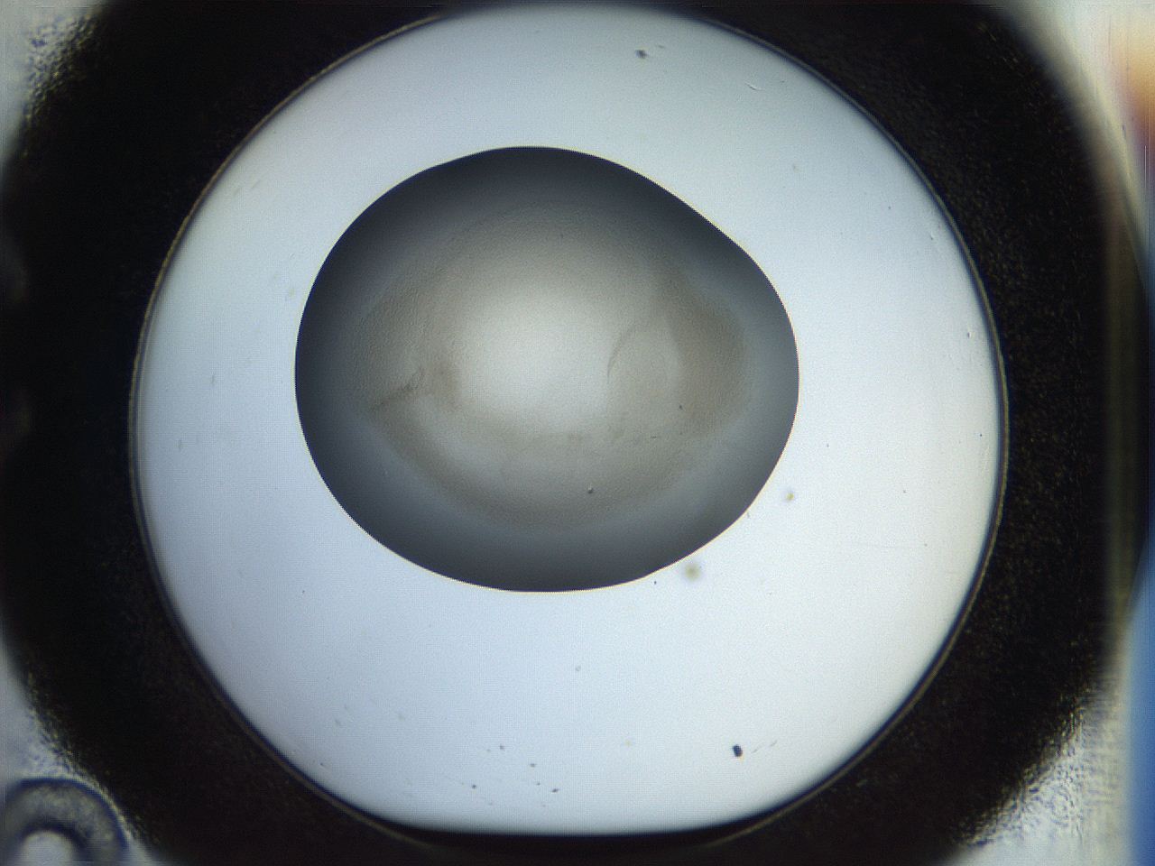 056o_C10_ImagerDefaults_2.jpg