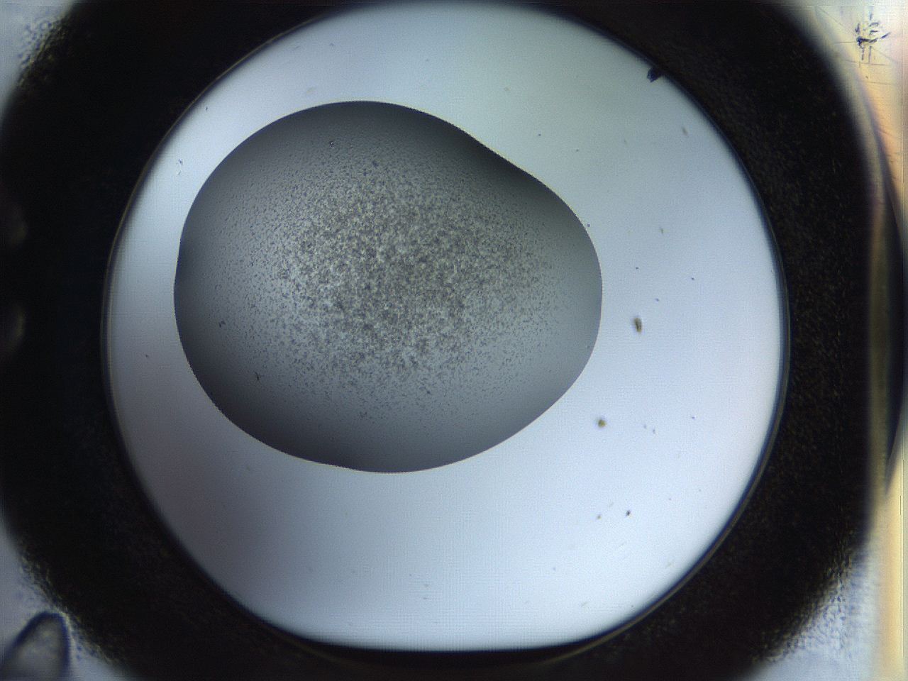056o_C11_ImagerDefaults_3.jpg