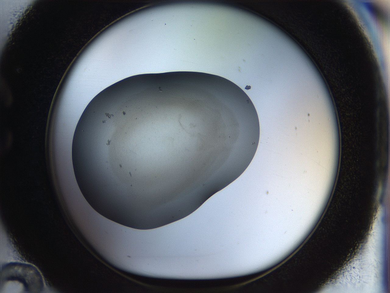 056o_C12_ImagerDefaults_2.jpg