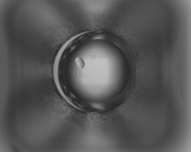 X0000040560336200411021435.png