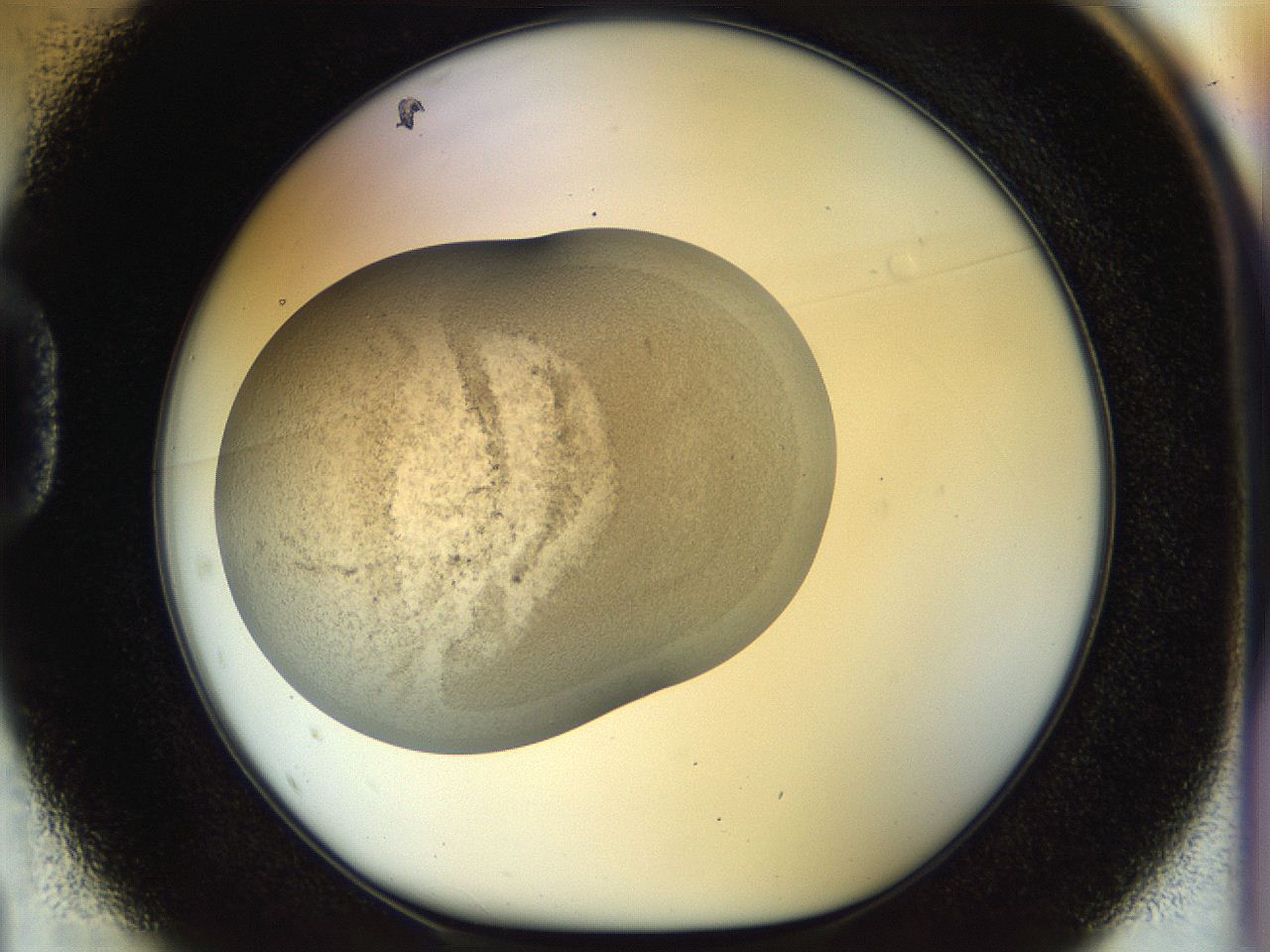 056o_D1_ImagerDefaults_3.jpg