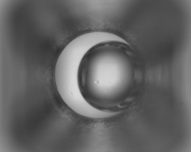 X0000054110687200508022059.png
