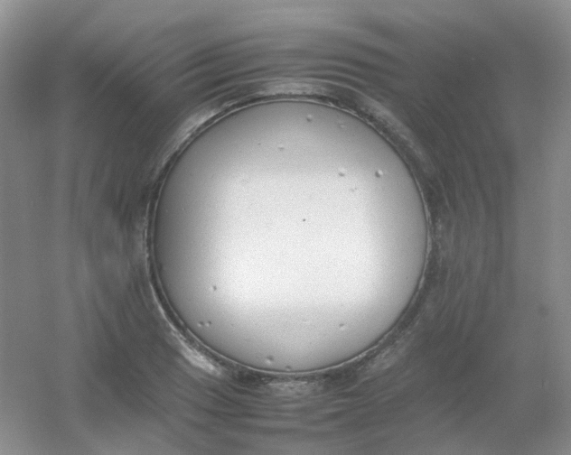 X0000054331033200508111913.png